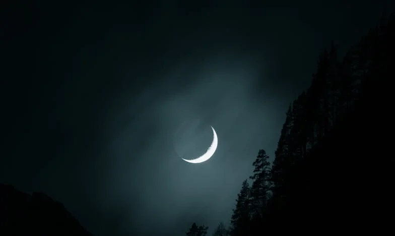 Zvezda v bloku: Moj boj za družino in sebe