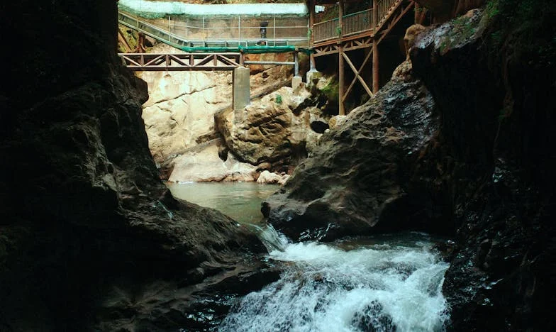 Deseti otrok: Pod isto streho, pod istimi sanjami