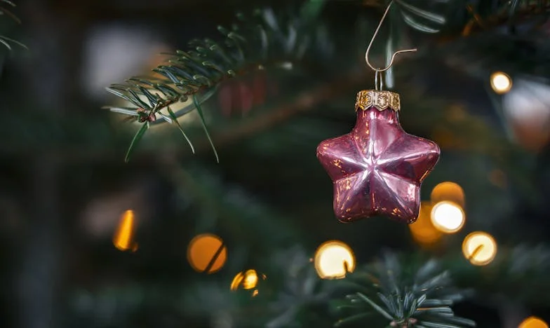 Kako sem skušala zaščititi naše družinske praznike pred vsiljivimi sorodniki