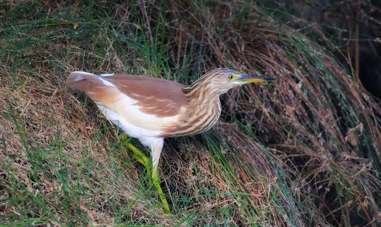 Ko bolezen hčere razkrije družinsko skrivnost: Izpoved očeta iz Ljubljane