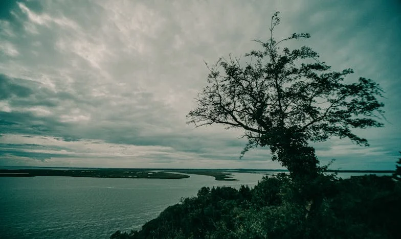 Ko je resnica težja od dediščine: Moja zgodba o družinskih skrivnostih in izdaji