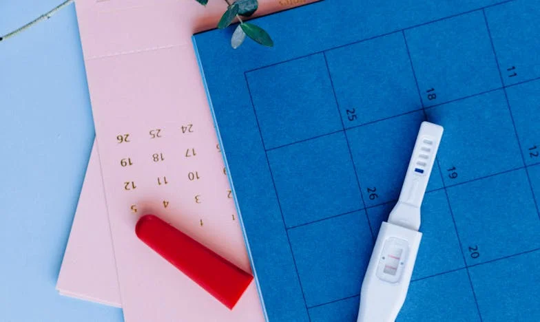 Ko ljubezen postane računica: Zgodba družine Novak