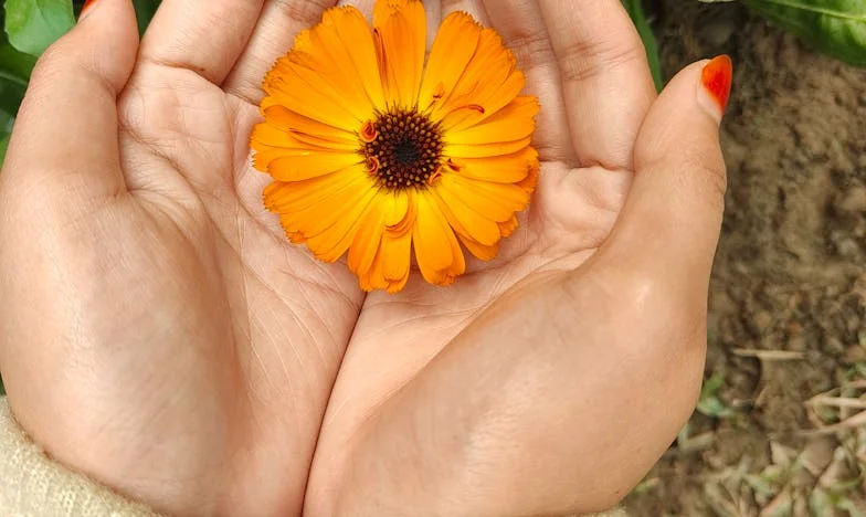 Ko prepozno rodiš sina: Zgodba o ljubezni, krivdi in izgubljenem zaupanju