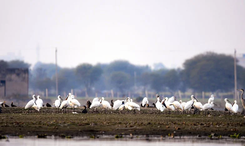Ko prijateljstvo zaboli: Zgodba o zaupanju, izdaji in ponovnem iskanju sebe