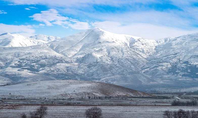 Ko se preteklost vrne: Zgodba o odpuščanju in družinskih skrivnostih