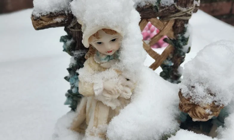 Ko sem bila izgnana iz lastne restavracije: Zgodba o ponosu, družini in resnici