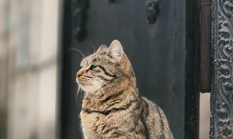 Ko sem mislila, da sem del njegove družine: Resnica, ki me je zlomila