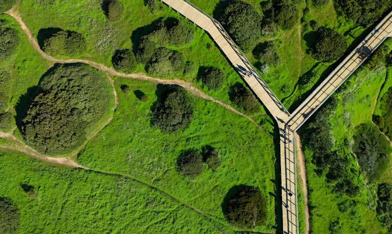 Ko sem zapustila moža zaradi svoje srednješolske ljubezni: Zgodba o pogumu, izgubi in iskanju same sebe
