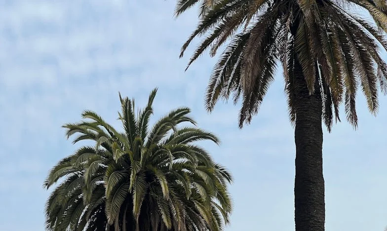 Ko ti vzamejo vnuke: Zgodba babice Marije iz Škofje Loke