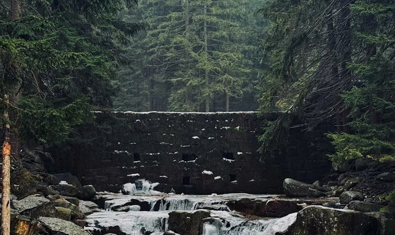 Med dvema domovoma: Teža nemogoče odločitve