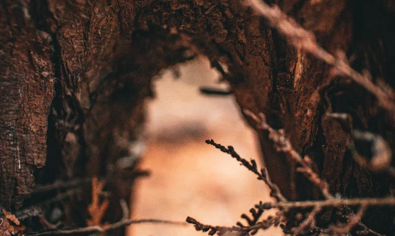 Na porodniški nisem varuška: Ko družina ne razume meja