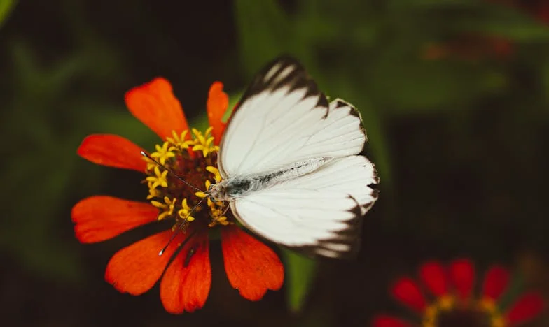 Najlepši in Najbolj Strašen Dan: Moja Prebujenja med Prevaro in Materinstvom