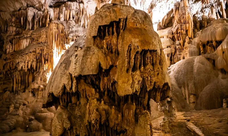 Pod isto sliko: Skrivnost med taščo in mano