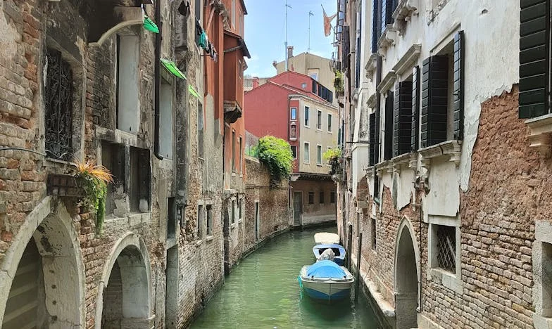 Sobotno jutro, ki je razbilo moje zaupanje – Zofijina zgodba iz soseske trgovine