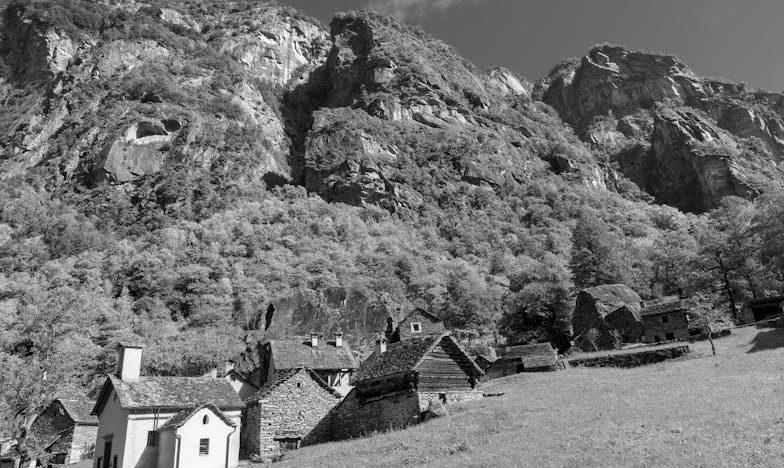 Tri leta zakona, en papir in razpad družine: Zgodba o izdaji in pogumu