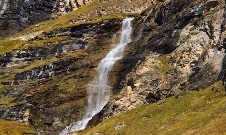 V senci mamine hiše: Zgodba o svobodi, ki je ni