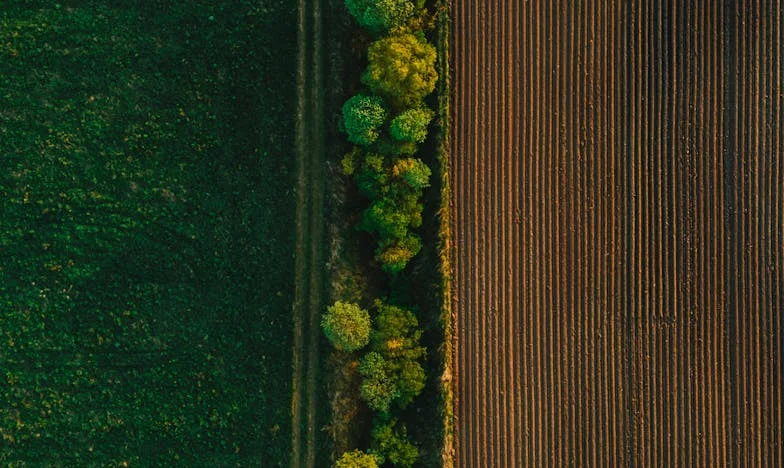 Vila na robu Ljubljane: Ko sanje postanejo sence