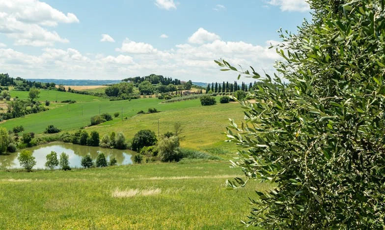 Vsak konec tedna je pekel: Izpoved snahe, ki se bori za svoj prostor v lastnem domu