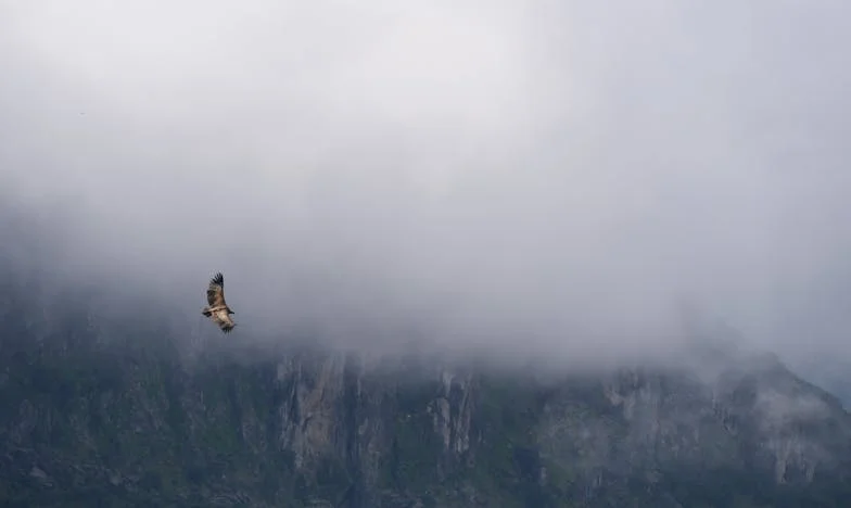 Vsak mesec isti klic: Ali je družina res lahko tako sebična?