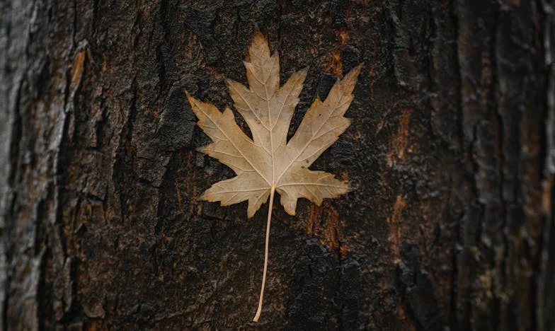 Za Krožniki: Vikend pri družini Mateja