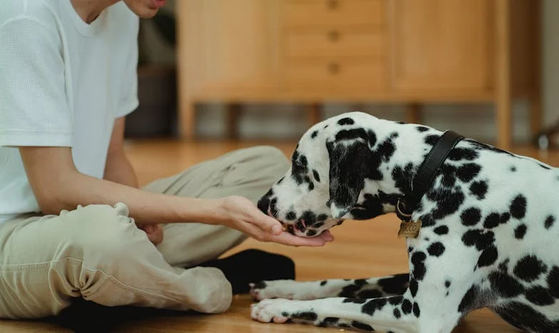 Ko je resnica postala sovražnik: Zgodba o razpadu družine
