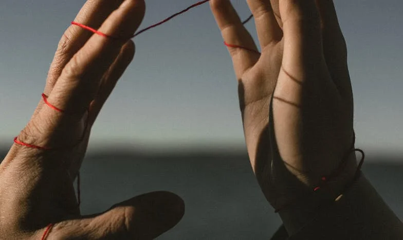 Moj mož, njegov denar in moja kletka: Dvanajst let v senci zakona – Moja pot do svobode in dostojanstva