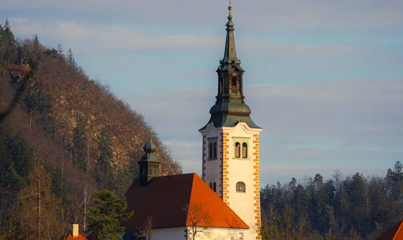 Tujka v lastnem domu: zgodba slovenske snahe