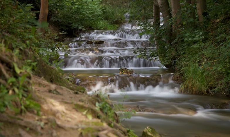 V veri sem našla moč: Molitev, ki me je rešila v najtežjih trenutkih