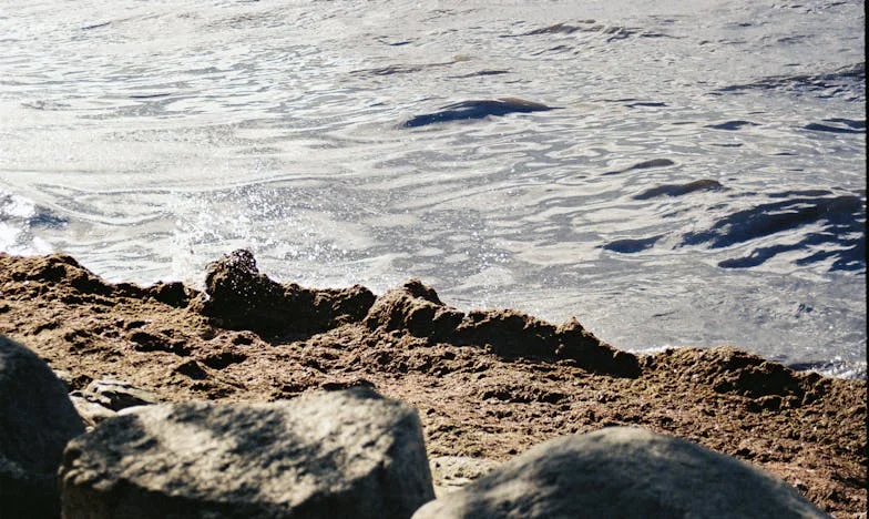 Hiša babice Marije: Bitka za svobodo