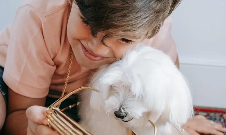 Ko je Brina pritekla vmes: Pes, ki je rešil mojo družino in mene