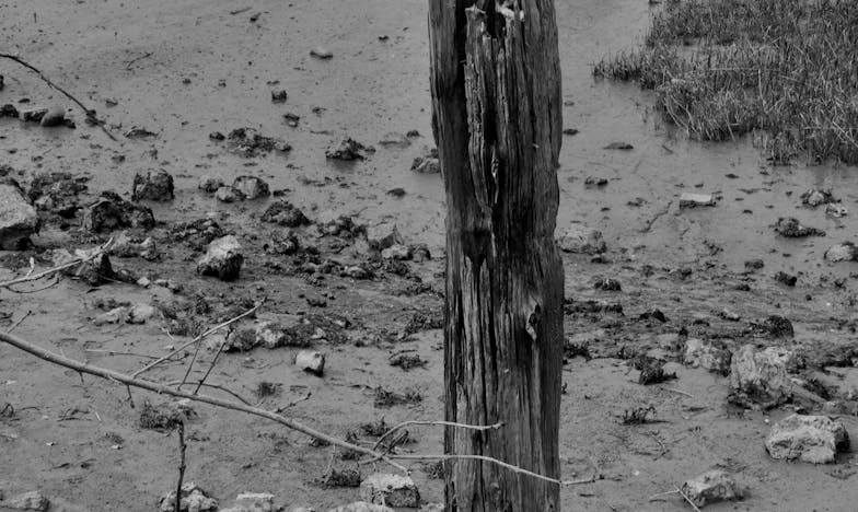 Ko je njegova mama stopila med naju: Zgodba o raztrganih obljubah in izgubljenem zaupanju