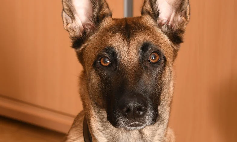 Naša hči ni več ista: boleča resnica o izgubljeni bližini