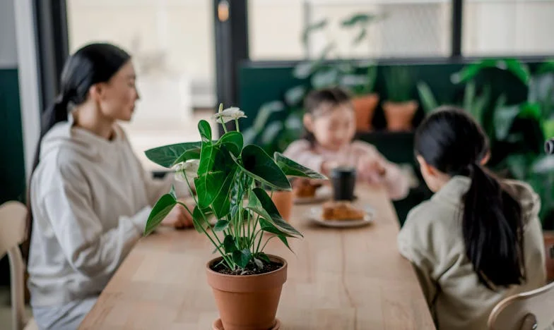 Pod površjem: Skrivnost, ki je razklala našo družino