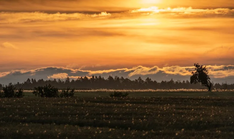 Prisila izbire: Kako sem prepričala moža, naj prekine stike s svojo družino, preden bi uničili najino življenje