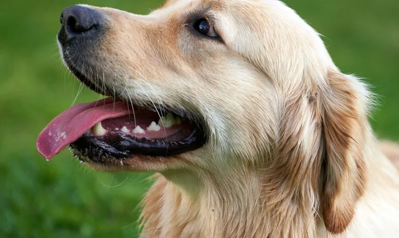 Tista noč, ko je Brina krvavela na ulici in so sosedje le gledali