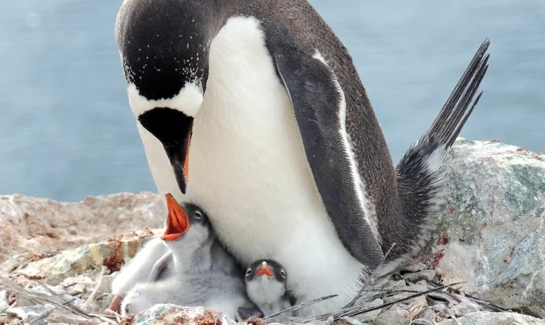 »Naj tvoj bivši skrbi za tvoje otroke,« je rekel moj mož: Kako smo v naši zapleteni družini našli skupno pot