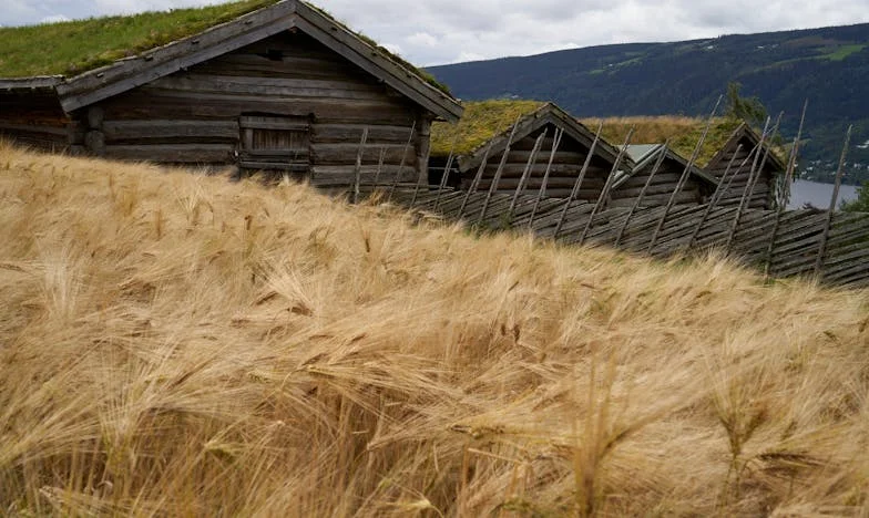 Ne pripelji sina za vikend – Zgodba slovenskega očeta med solzami, ponosom in družinsko tišino