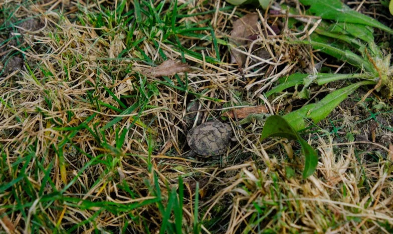 Ko mi je Tjaša ukazala, naj spim na kavču – A saj je to vendar MOJE stanovanje!