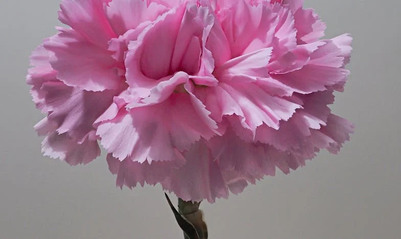 Ha nem kényeztetted volna el a lányodat, talán még mindig együtt lennétek: Egy magyar anyós vallomása