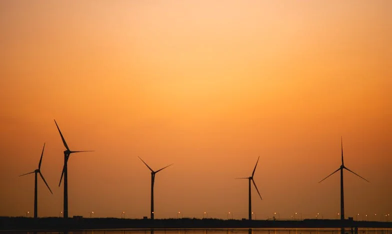 Casa noastră, visul lor: O decizie care ne sfâșie familia