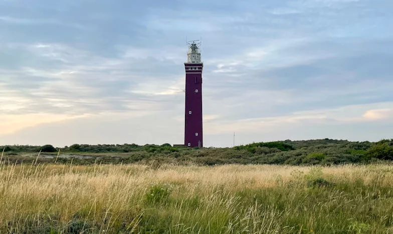 Ciorba de conflicte: Povestea unei cine care a schimbat totul