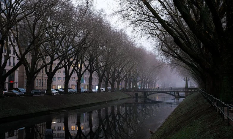 Dincolo de Orizont: Descoperirea unei Lumi Noi la 48 de Ani
