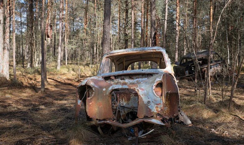 Grădina moștenită: Între iubire și trădare