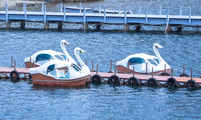 Între Doi Focuri: Povestea Mea cu Socrii Mei