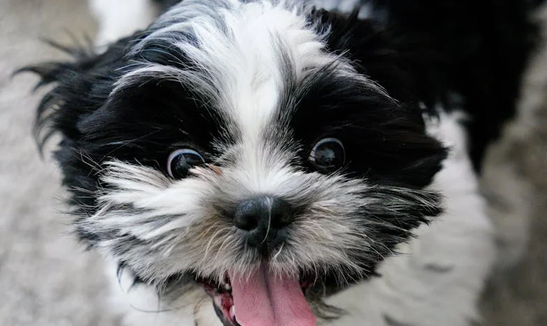 Între două lumi: Când viitorul copilului meu depinde de alegerile altora