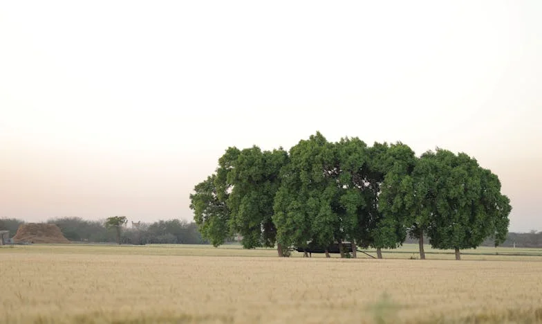 Între două lumi: Lupta mea pentru echilibru