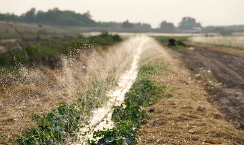 Între Dragoste și Interes: Povestea unei Mame Rănite