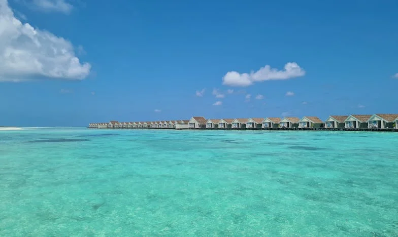 La 55 de ani, o Realizare Brutală: Dragostea Mea pentru Ea S-a Stins