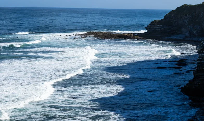 Lacrimi la Nuntă: Dezamăgirea unei Mame Dezvăluită