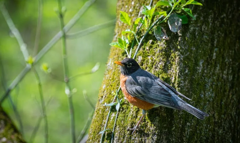 Reguli pe frigider: Povestea unei mame între iubire și pierdere
